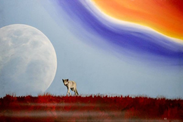 Der Wolf und der Regenbogen