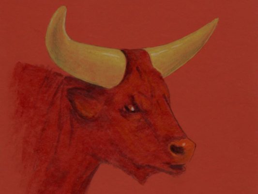 Tierkreiszeichen Stier